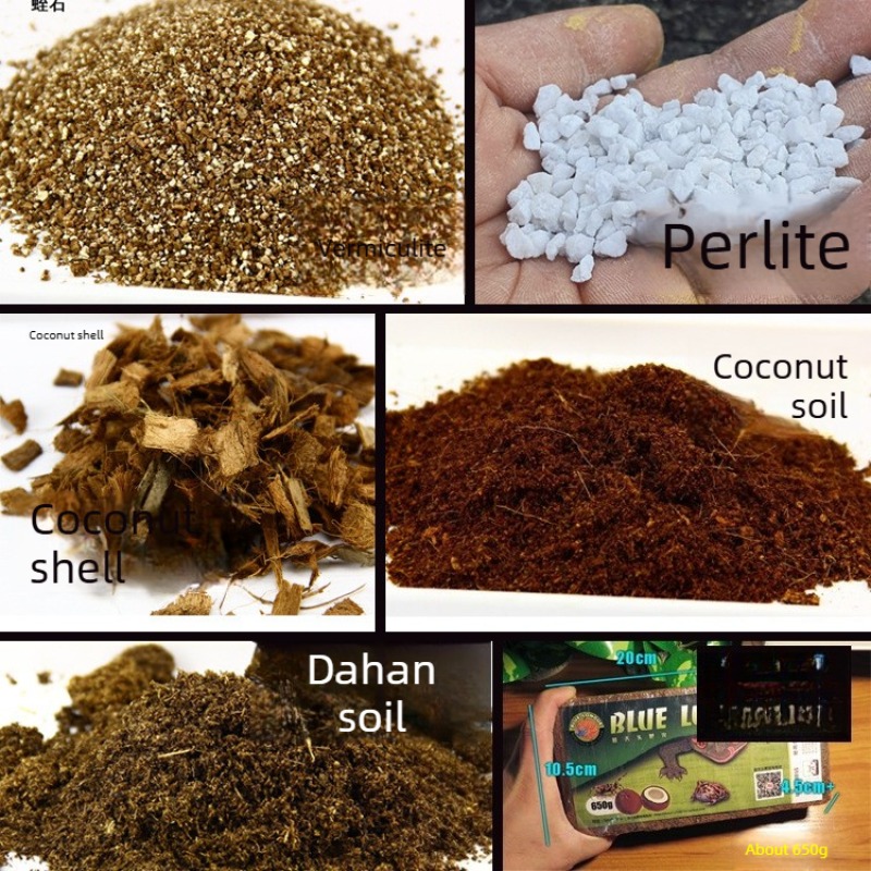 Sphagnum Moss Dry - 코코넛 토양 벽돌 파충류 배지 거북이