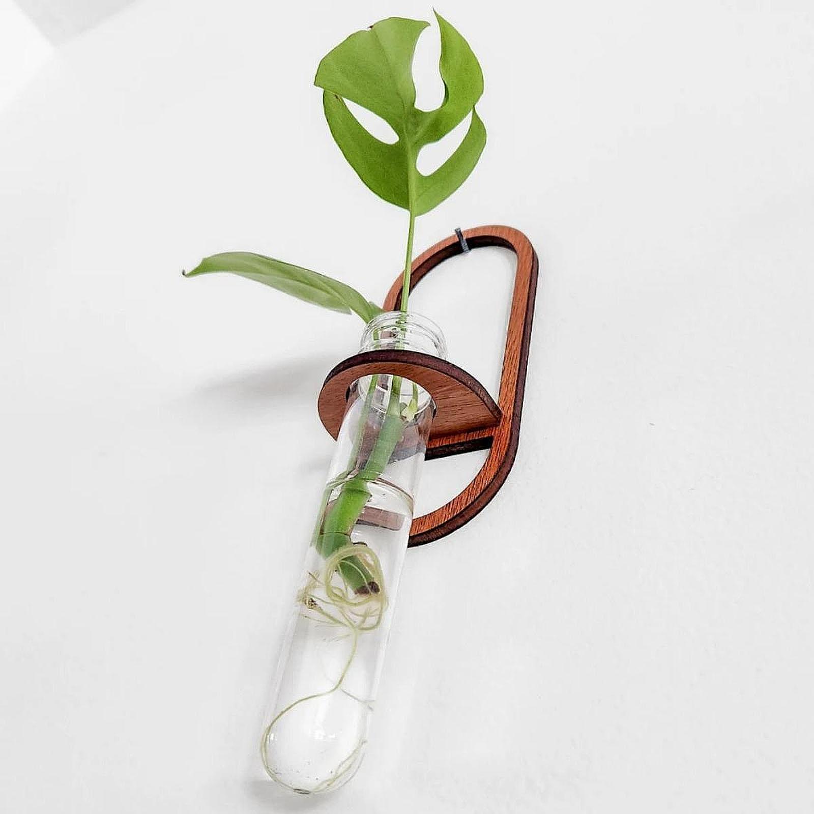 Propagation Station Vase - 수경 재배용 화분, 나무 벽 선반,