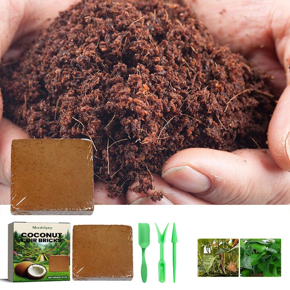 Sphagnum Moss Dry - 코코넛 코이어 섬유 벽돌 - 유기농