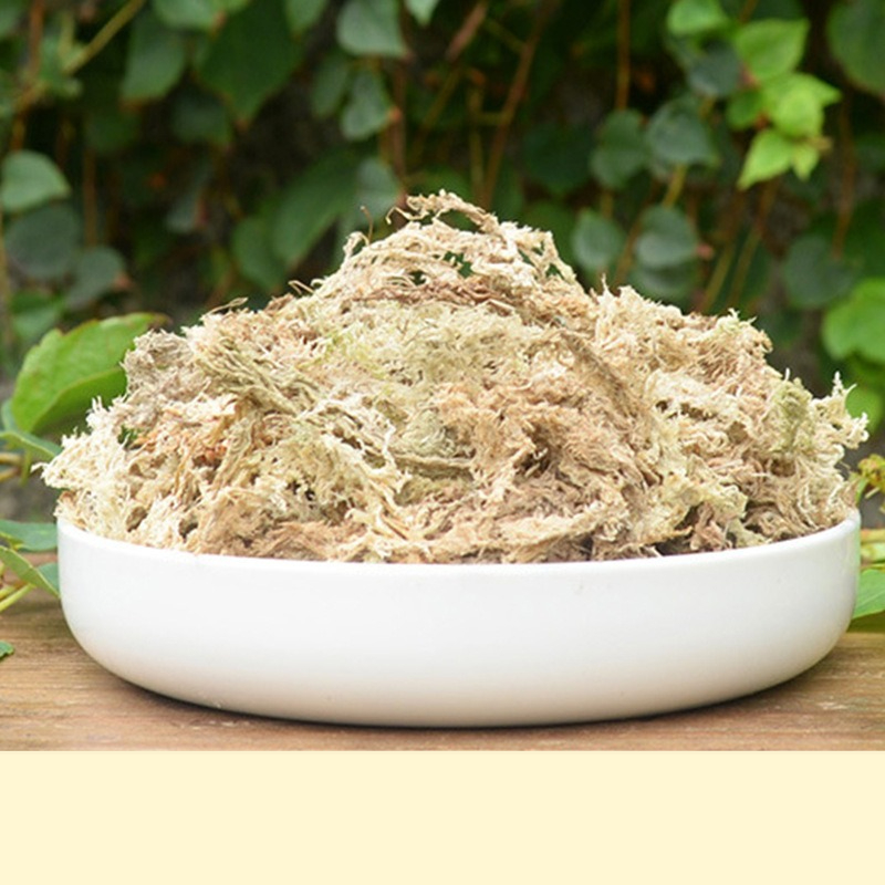 Sphagnum Moss Dry - 파충류 테라리움 스파그넘 모스 기질 난초