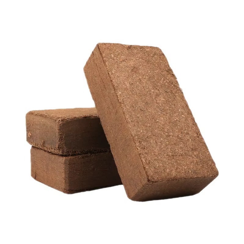 파충류 사육용 압축 코코넛 코이어 브릭 500g 탈염  - Sphagnum Moss Dry 리뷰 및 가격