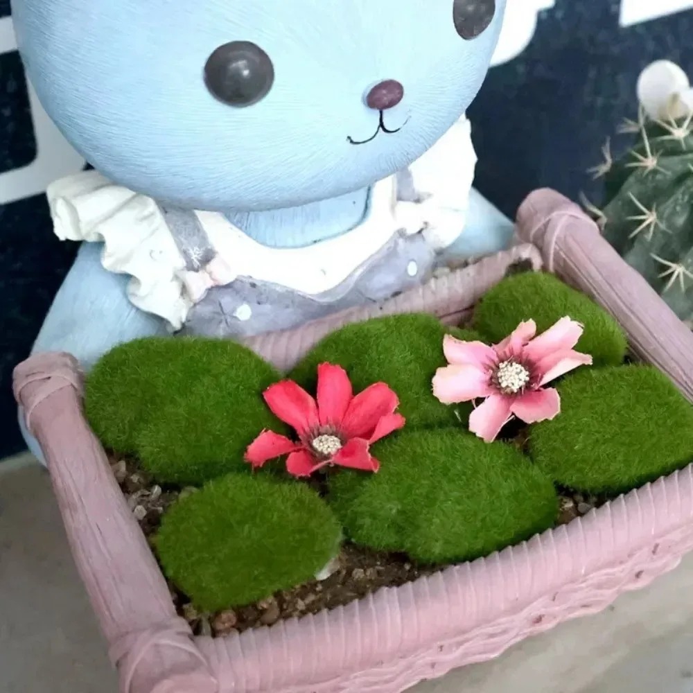 50/5개 인조 이끼 바위 볼, 가짜 녹색 미세 시뮬레 - Sphagnum Moss Dry 리뷰 및 가격