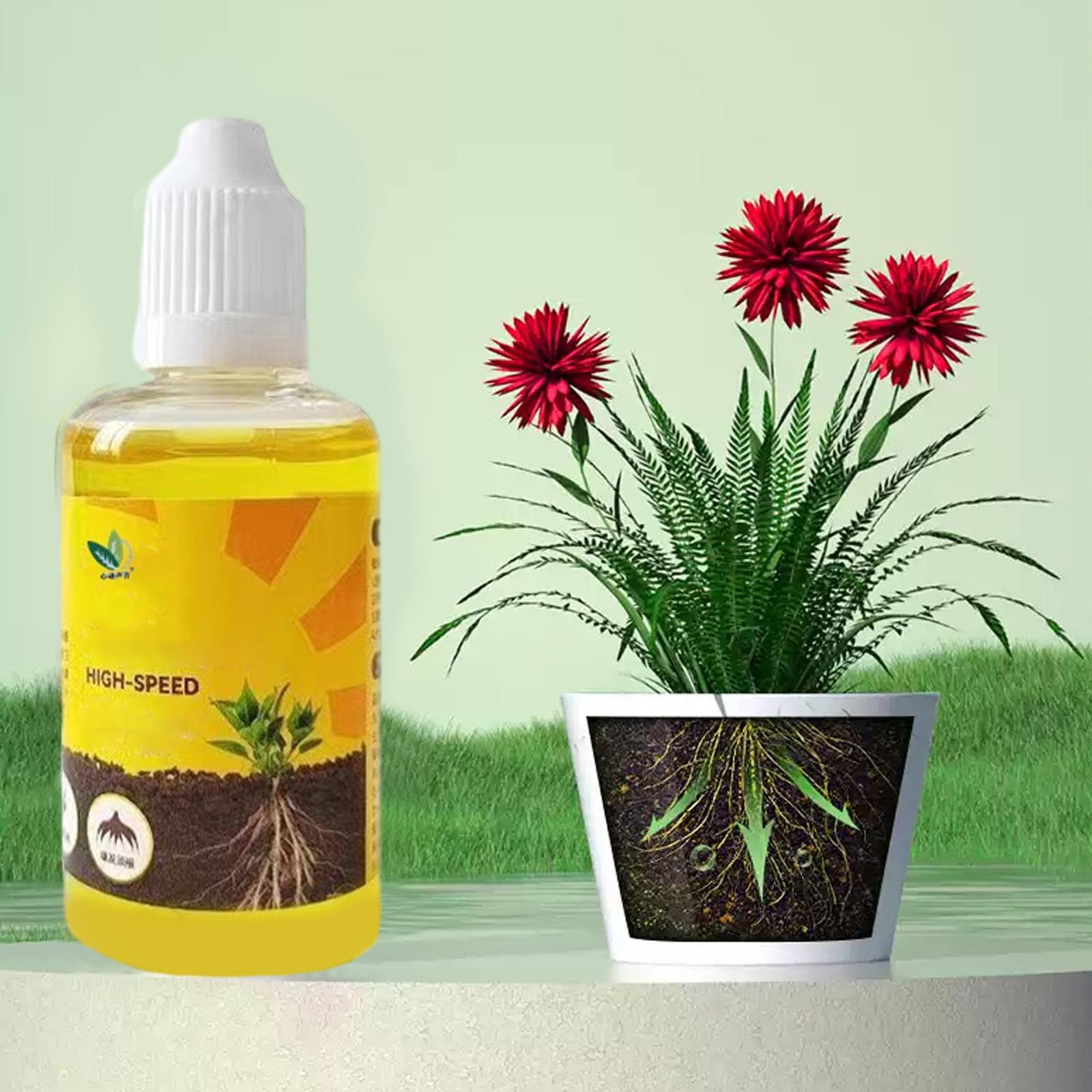 식물 빠른 뿌리 성장 솔루션 50ml 영양 풍부 포뮬러 - Root Stimulator Liquid 리뷰 및 가격