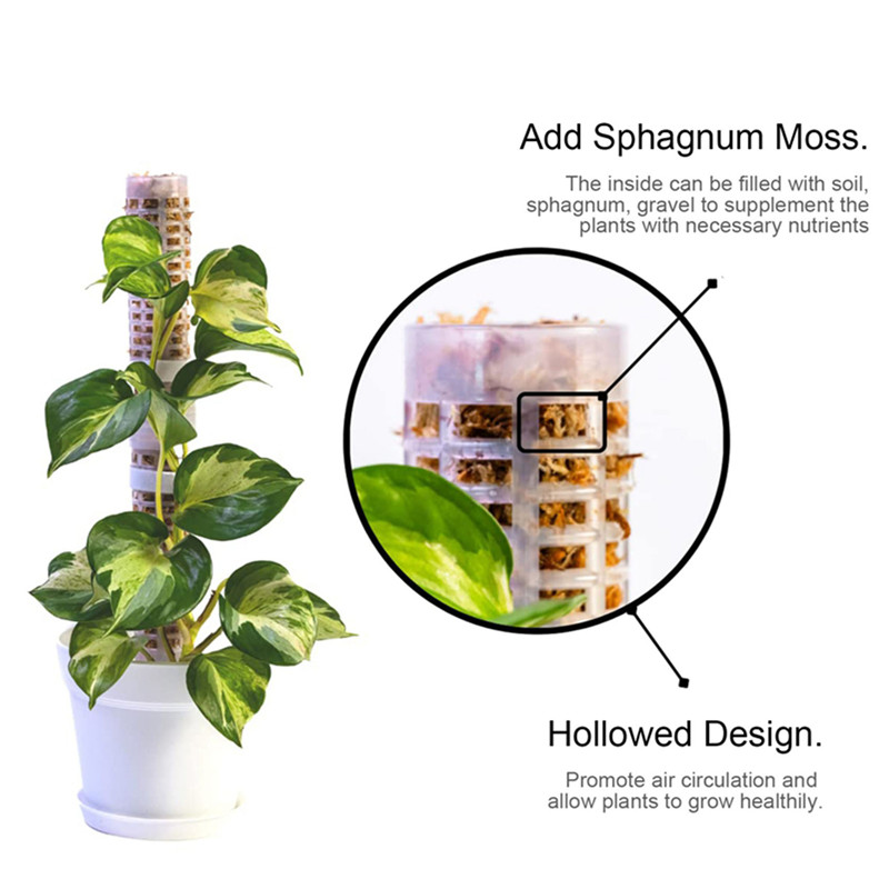 플라스틱 이끼봉 플라스틱 쌓을 수 있는 이끼 토템 폴  - Sphagnum Moss Dry 리뷰 및 가격